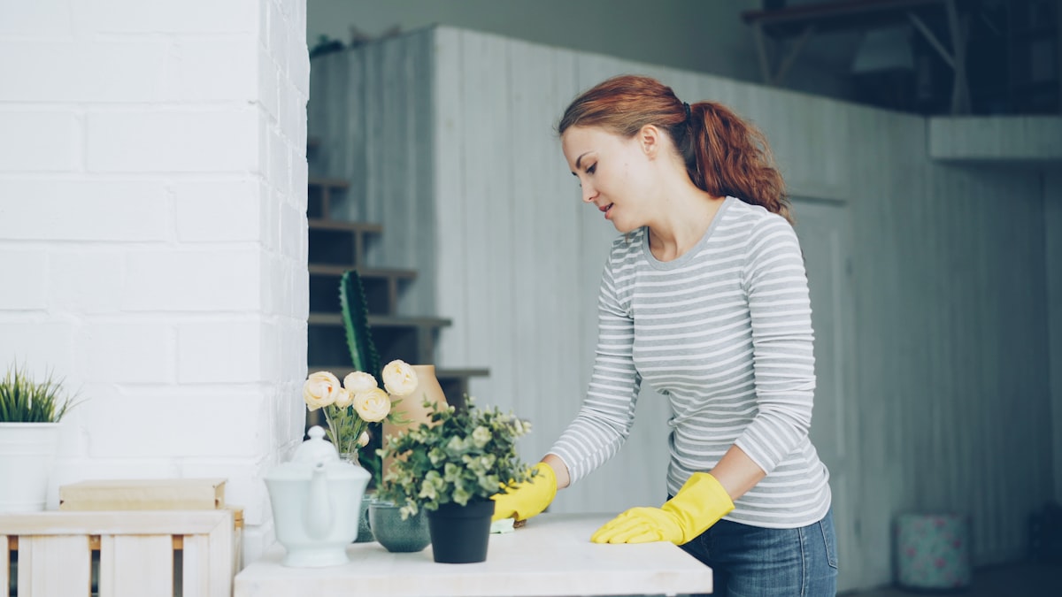 Trusted cleaning service